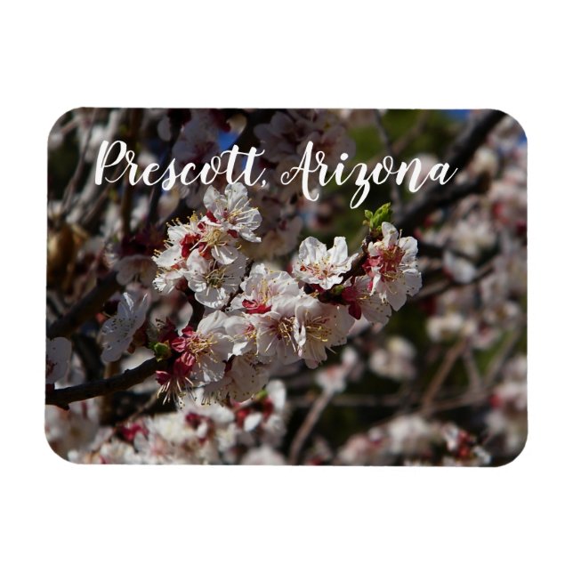 Magnet Flexible Fleurs de cerises en Prescott, Arizona (Horizontal)