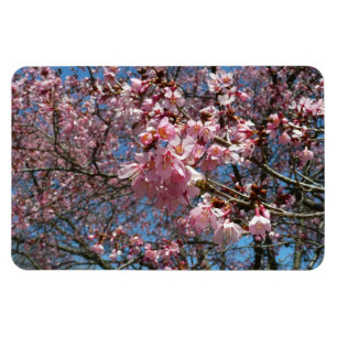 Magnet Flexible Fleurs de cerisier et fleurs de printemps roses d'