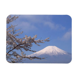 Magnet Flexible Fleurs de cerisier et mont Fuji 2