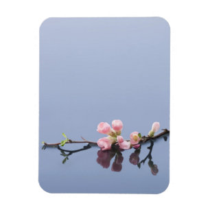 Magnet Flexible Fleurs de cerisier sur l'eau