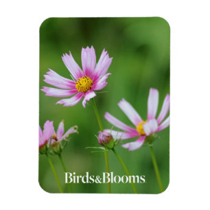 Magnet Flexible Fleurs de cosmos