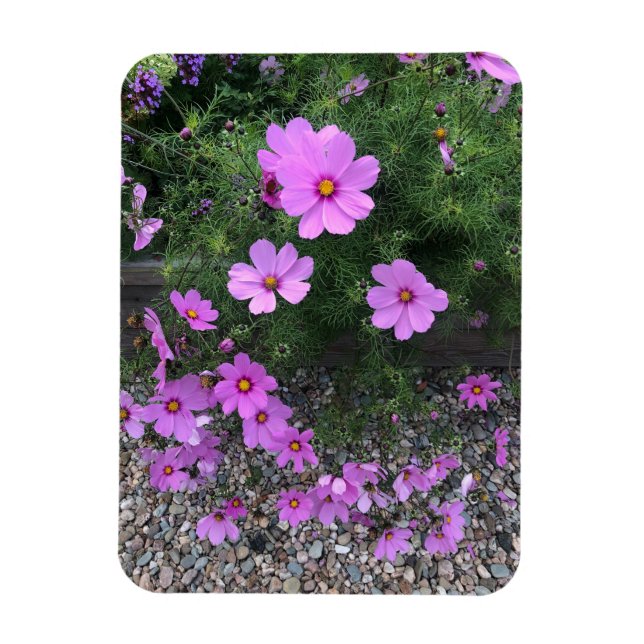 Magnet Flexible Fleurs de cosmos avec des galets sur un (Vertical)