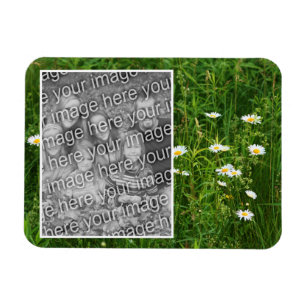 Magnet Flexible Fleurs De Faisceau En Champ Ajouter Votre Photo