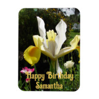 Fleurs de Fleur de Fer Jaune Hollandaise Iris Fleu