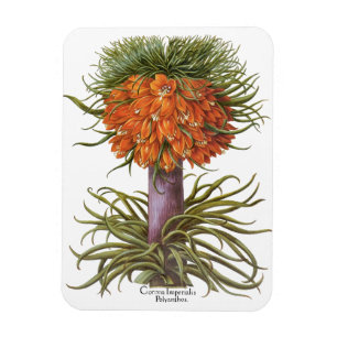 Magnet Flexible Fleurs de Fritillaires Orange Vintage Basilius Bes