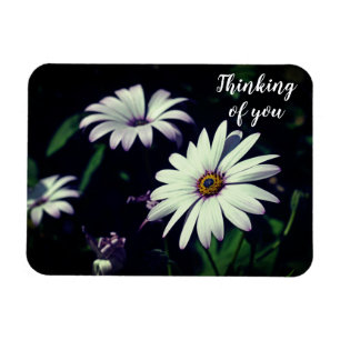 Magnet Flexible Fleurs de Jardin Blanc Penser à vous