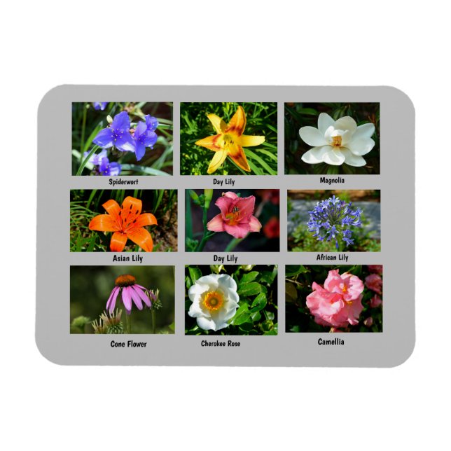 Magnet Flexible Fleurs de jardin vives (Horizontal)