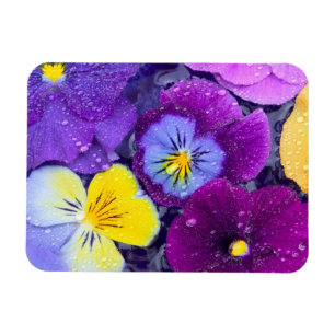 Magnet Flexible Fleurs de pensée flottant dans un bain d'oiseau av