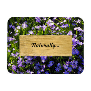 Magnet Flexible Fleurs de printemps de Squill Bleu
