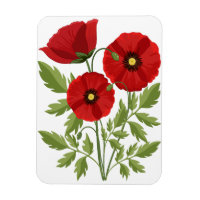 Fleurs d'été joyeuses floraison de pavot