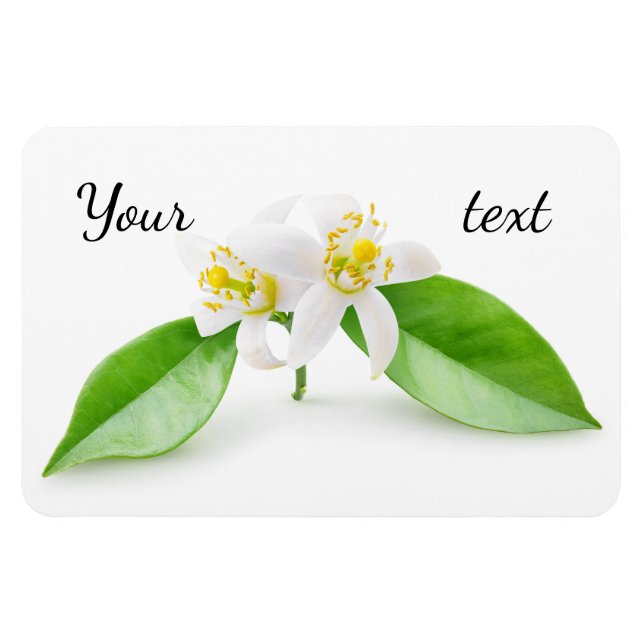 Magnet Flexible Fleurs d'oranger (Horizontal)