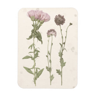 Magnet Flexible Fleurs en rose