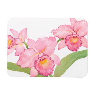Magnet Flexible Fleurs exotiques roses d'aquarelle