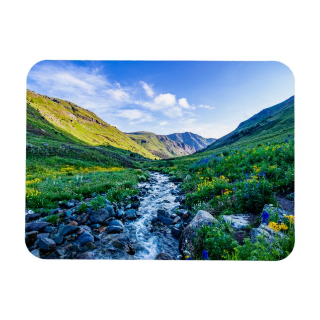 Magnet Flexible Fleurs | Fleurs sauvages en Colorado (Horizontal)