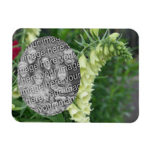 Magnet Flexible Fleurs Foxglove Blanches Crémeuses Ajoutez Votre P