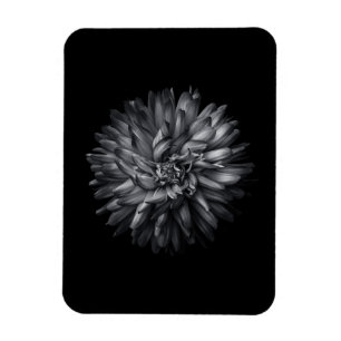 Magnet Flexible Fleurs jardins En Noir Et Blanc 20