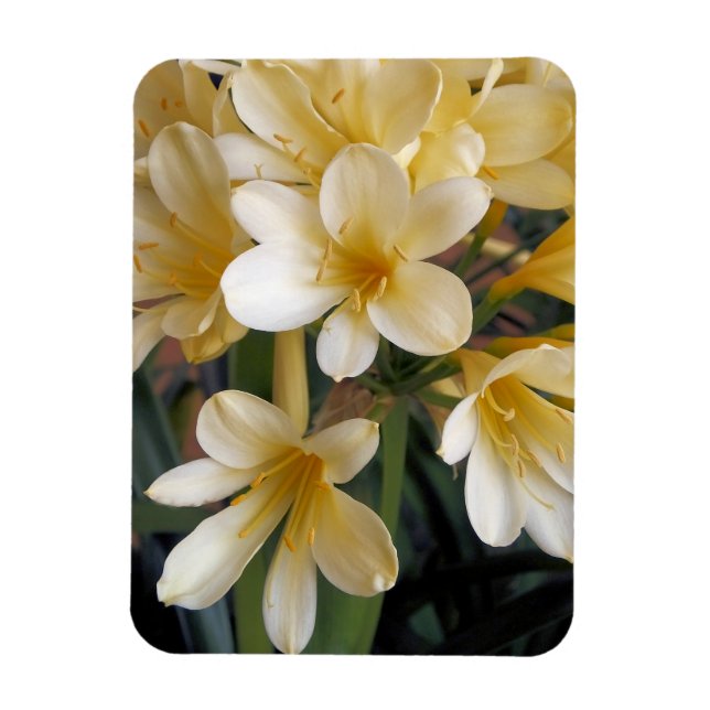 MAGNET FLEXIBLE FLEURS JAUNES (Vertical)