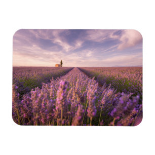 Magnet Flexible Fleurs Lavande Sud France