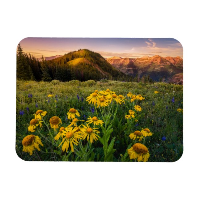 Magnet Flexible Fleurs | Mountain Meadow Crested Butte Colorado (Horizontal)