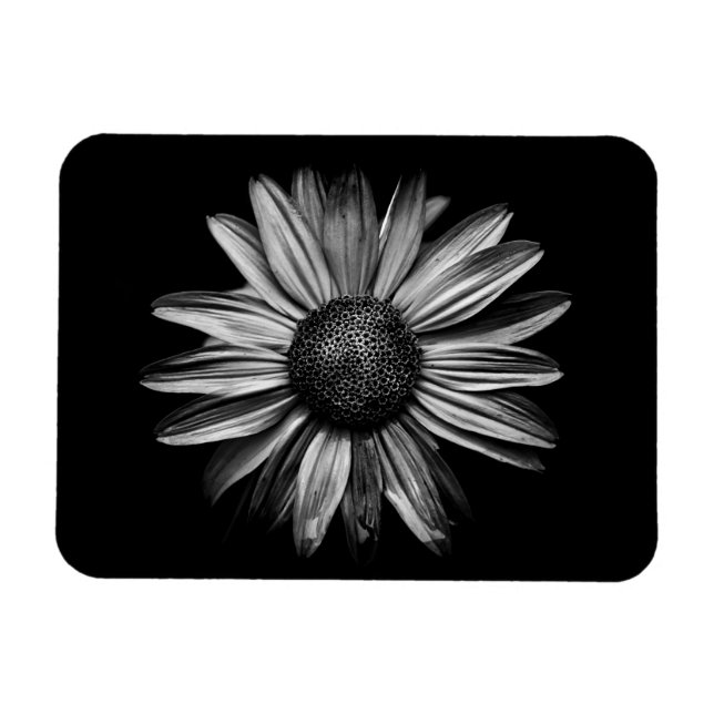 Magnet Flexible Fleurs Noires Et Blanches 18 (Horizontal)