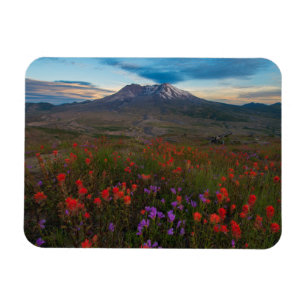 Magnet Flexible Fleurs Pinceau indien & Penstemon