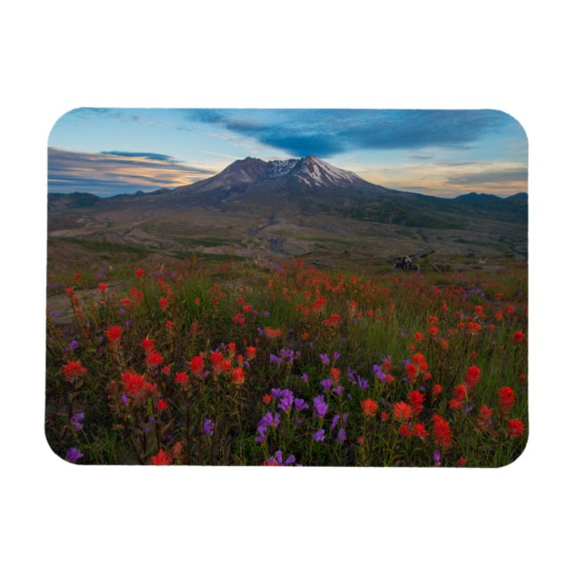 Magnet Flexible Fleurs | Pinceau indien & Penstemon (Horizontal)