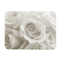 Fleurs | Roses blanches