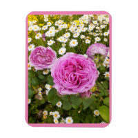 Fleurs roses Fleurs Florales Rose Roses marguerite