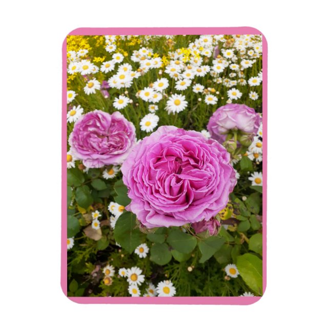 Magnet Flexible Fleurs roses Fleurs Florales Rose Roses marguerite (Vertical)