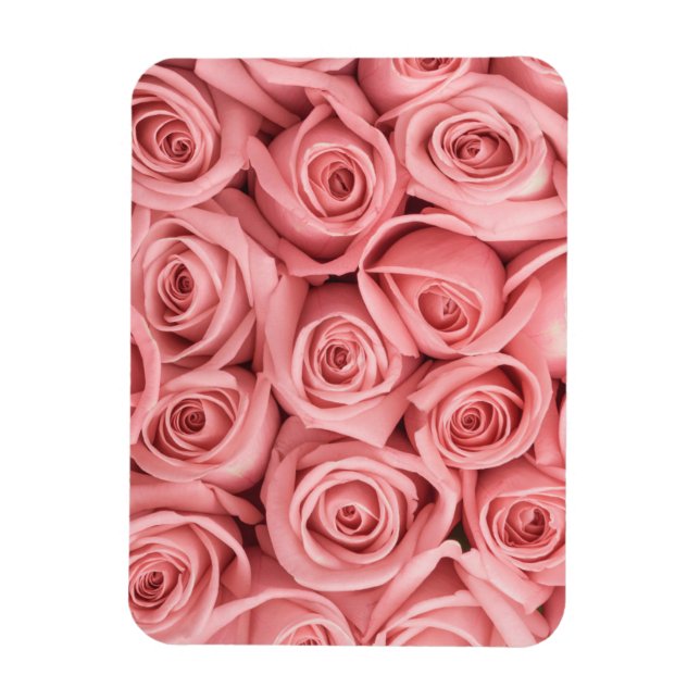 Magnet Flexible Fleurs | Roses roses (Vertical)