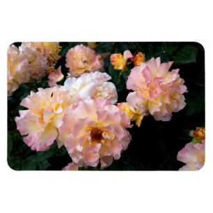 Magnet Flexible Fleurs roses, Roses Jaunes Rose