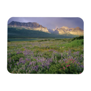 Magnet Flexible Fleurs sauvages de la prairie le long du lac Sherb