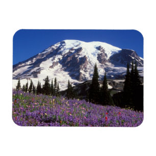 Magnet Flexible fleurs sauvages estivales au pied du mont Rainier,