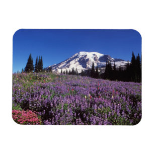Magnet Flexible fleurs sauvages estivales au pied du mont Rainier,