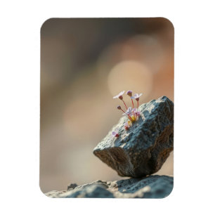 Magnet Flexible Fleurs sur Roche