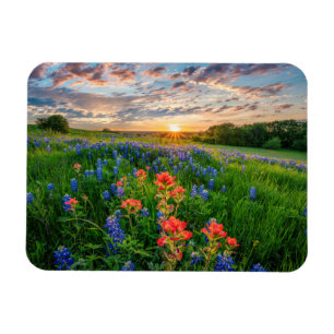 Magnet Flexible Fleurs   Texas Bluebonnets & Indian Paintbrush