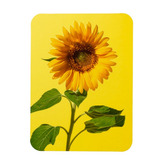 Magnet Flexible Fleurs | Tournesol jaune (Vertical)