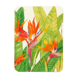 Magnet Flexible Fleurs tropicales   Oiseau du paradis