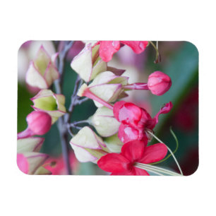 Magnet Flexible Fleurs tropicales roses et blanches rouges