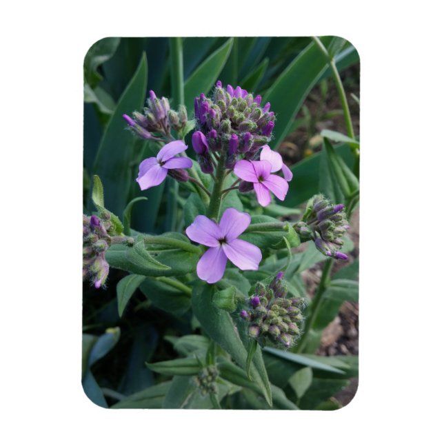 Magnet Flexible Fleurs violettes (Vertical)