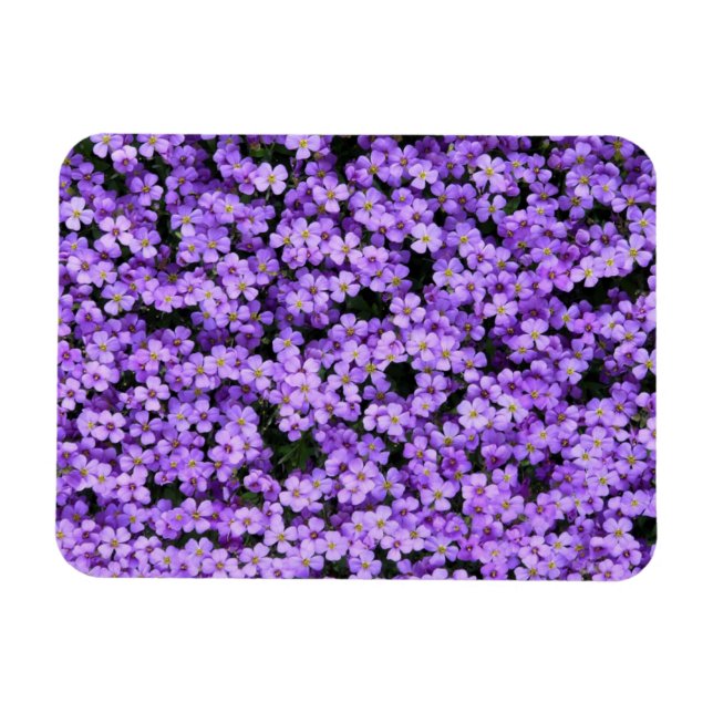 Magnet Flexible Fleurs violettes (Horizontal)