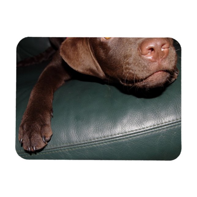 Magnet Flexible Flexi Aimant (Horizontal)