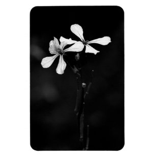 Magnet Flexible floral noir et blanc minimal