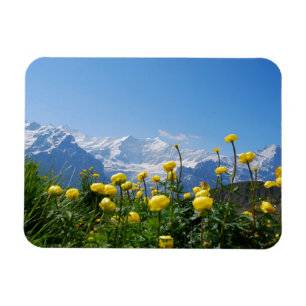 Magnet Flexible Flowers (homonymie)   Eiger Monch Swiss Alps