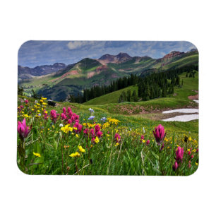 Magnet Flexible Flowers (homonymie) Wildflowers Durango