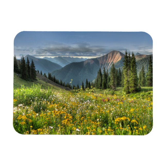 Magnet Flexible Flowers (homonymie) | Wildflowers Silverton Colora (Horizontal)