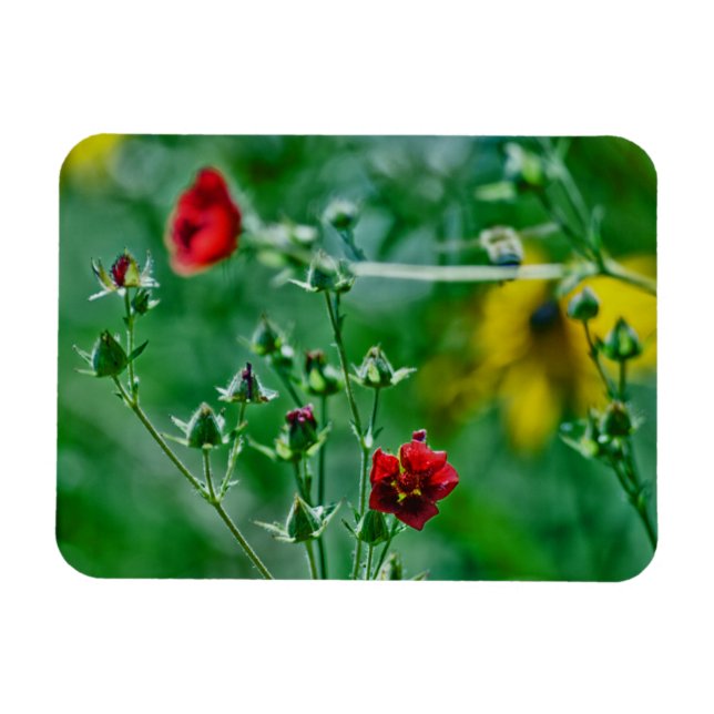 Magnet Flexible Fly-By dans le jardin (Horizontal)
