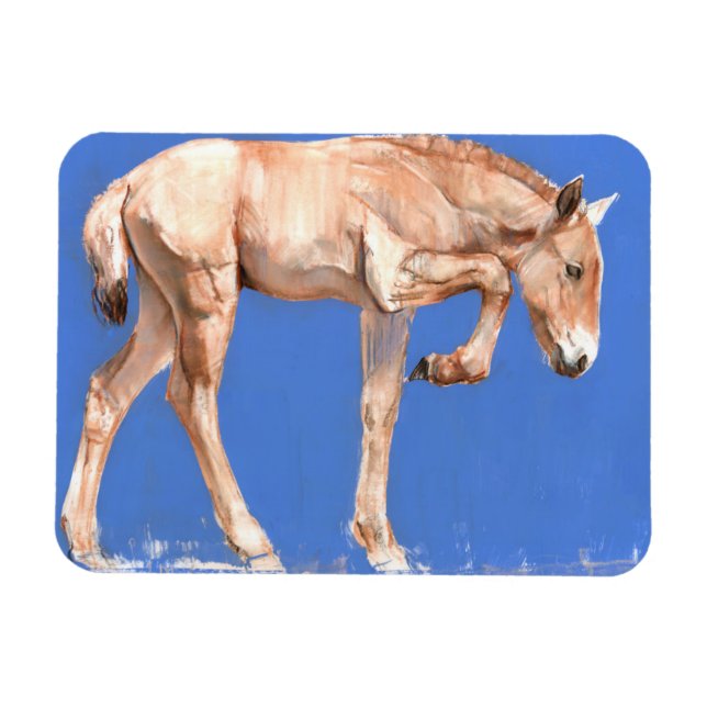 Magnet Flexible Foal de Przewalski 2012 (Horizontal)