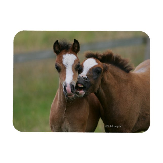 Magnet Flexible Foies jouant (Horizontal)