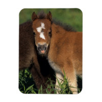 Foies miniatures en herbe